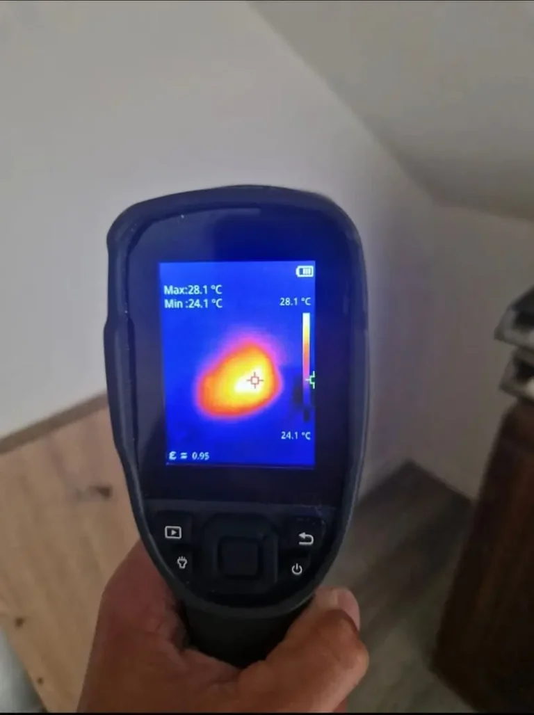 Recherche et détection d'un nid de guêpes caché derrière une cloison à l'aide d'une caméra thermique professionnelle.